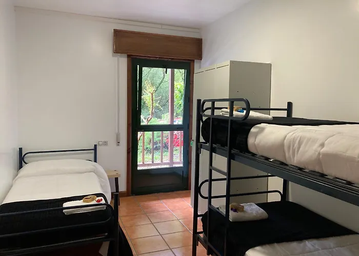 O Beque Моания