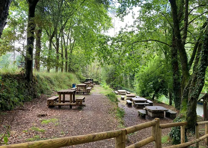 O Beque Моания